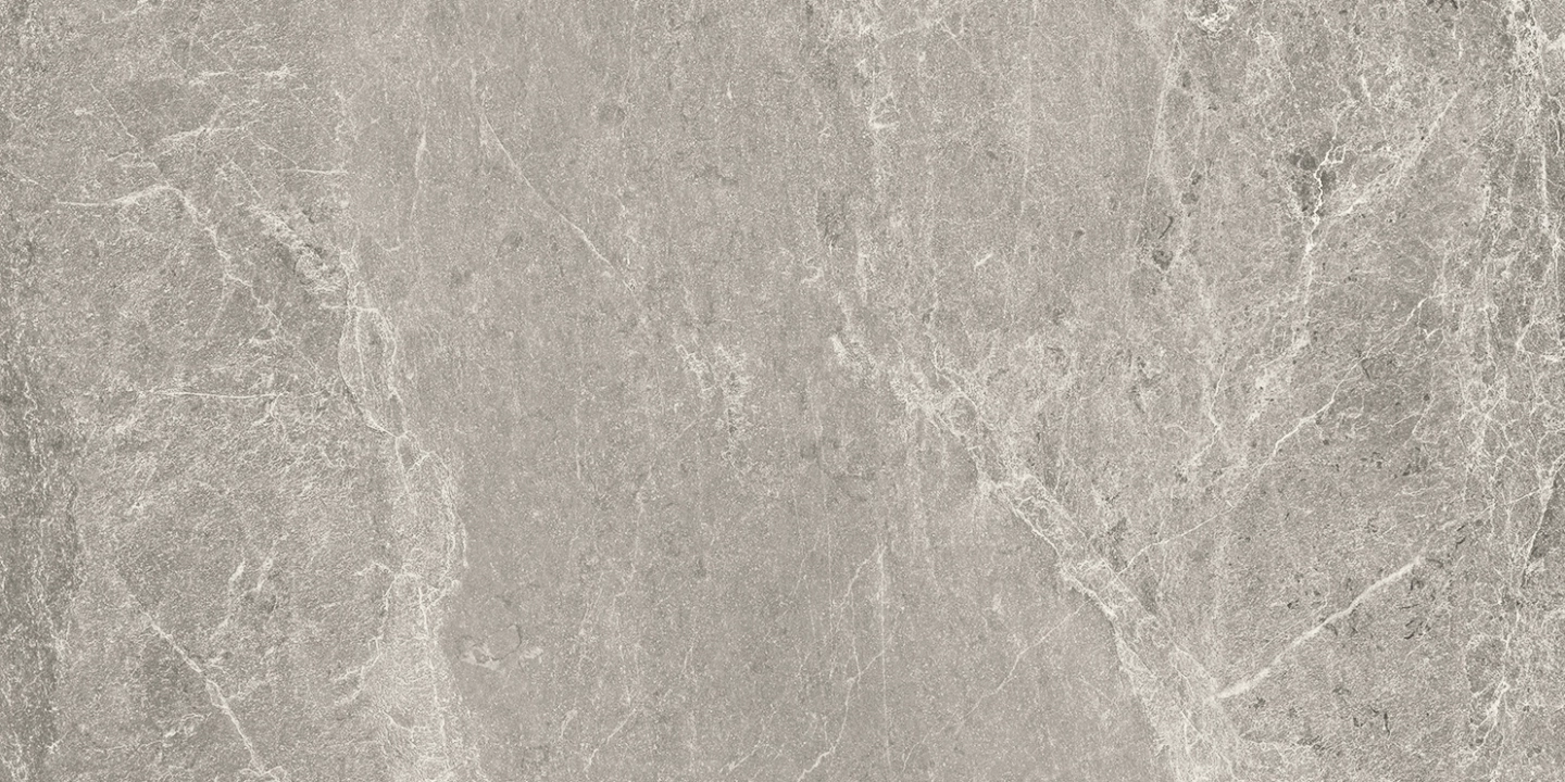 Cotto D'este Advantage Skin Silver naturalna 50x100 cm gr. 4 mm